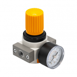 FER-01MINI Регулятор давления