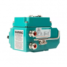 EAC1-D-005 Электропривод дискретный 50Нм (24VDC)